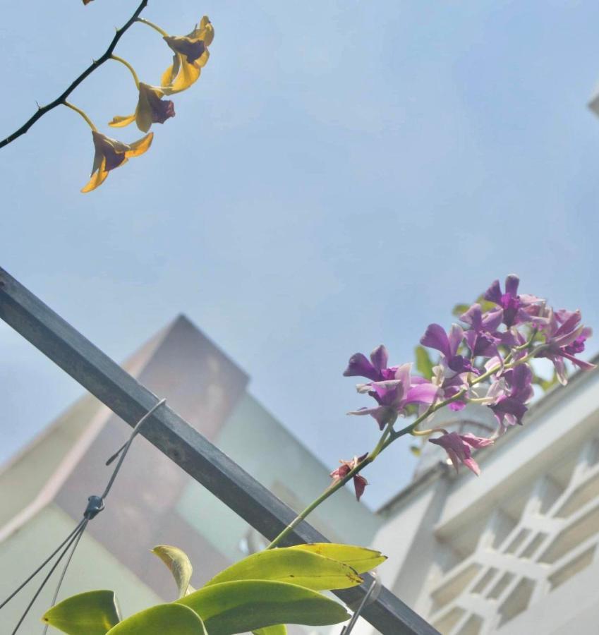 The House 36 Appartement Hội An Buitenkant foto